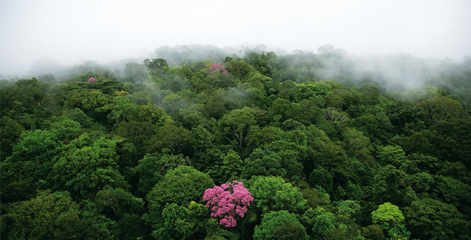 60 SOLUTIONS FACE AU CHANGEMENT CLIMATIQUE