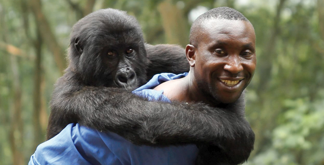 Festival du film européen : Virunga