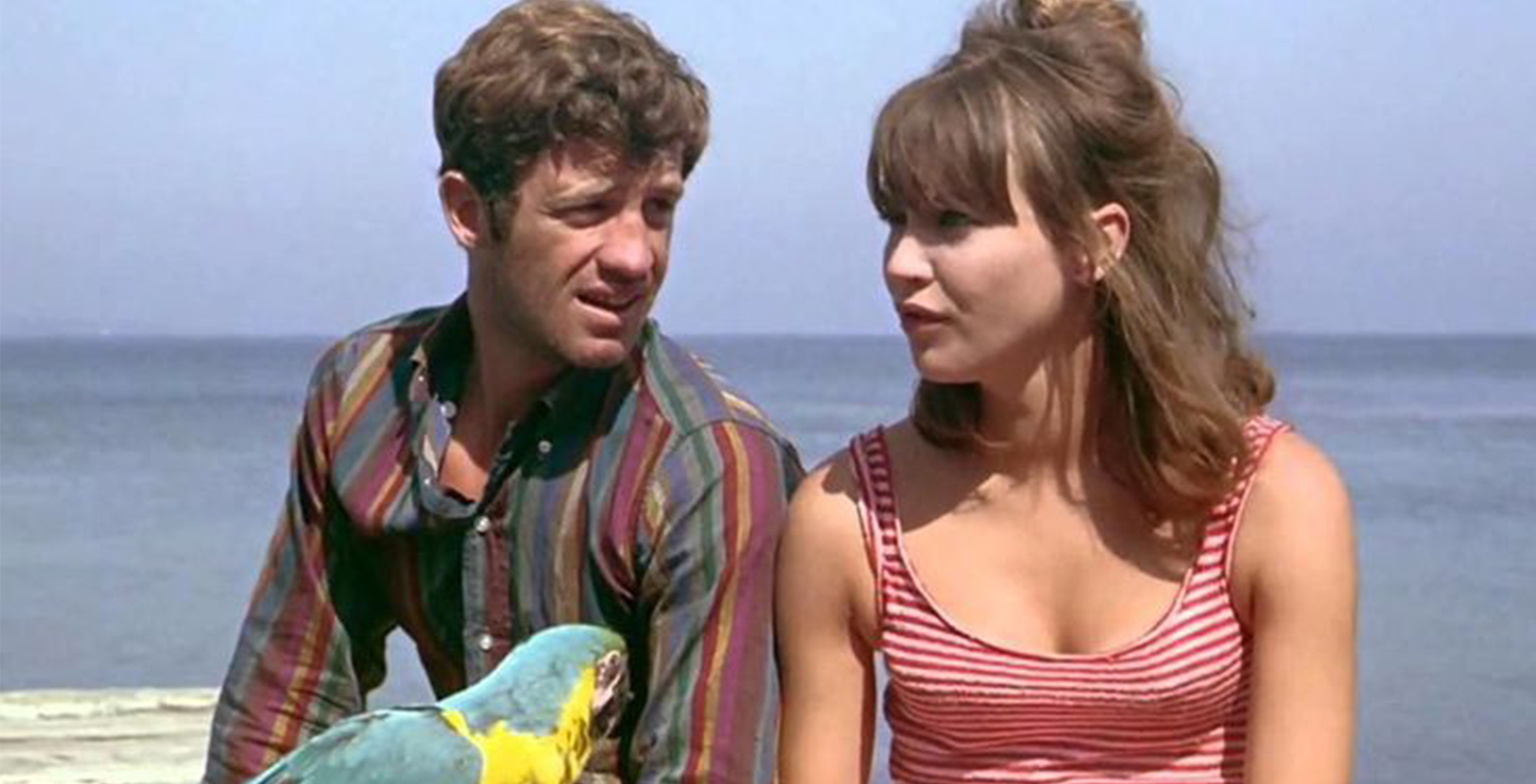 PIERROT LE FOU